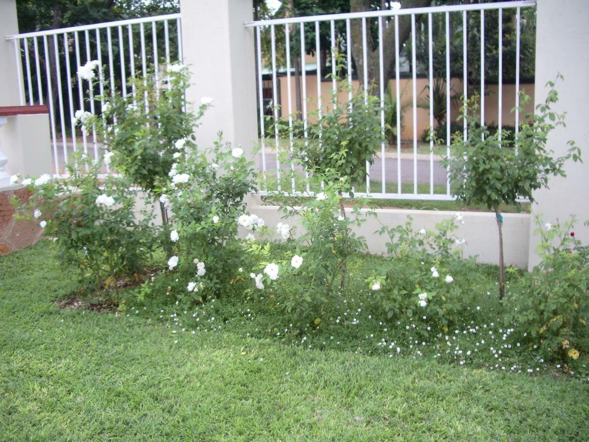 Dee'S Bnb Pretoria-Noord エクステリア 写真